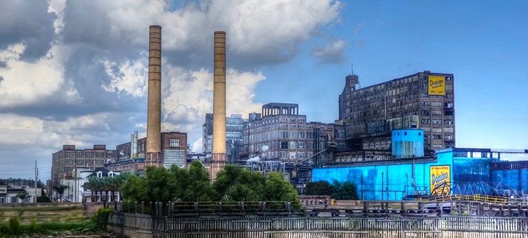 The sugar plant