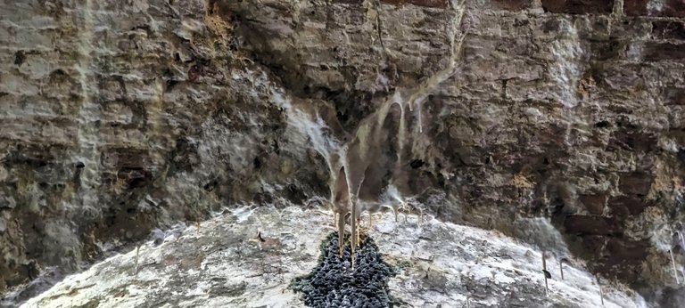Real stalactite