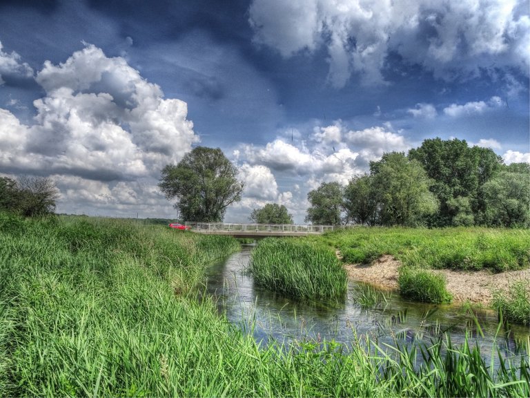 The Pig Bridge