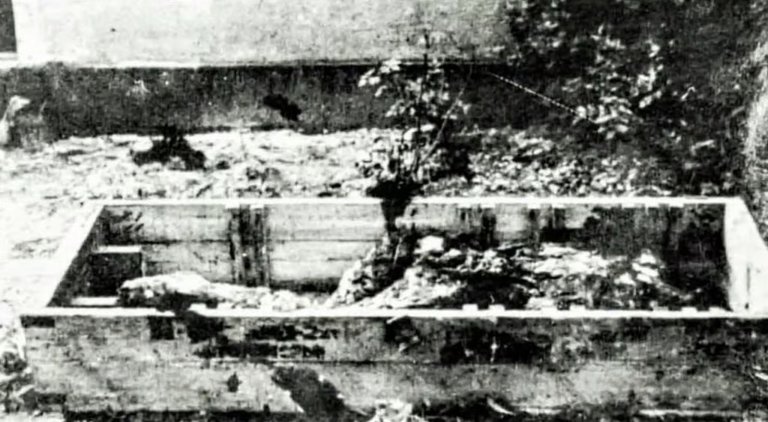 Hitlers remains, picture made by soviet soldiers