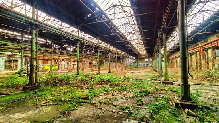 Mother nature is coming back inside the giant halls