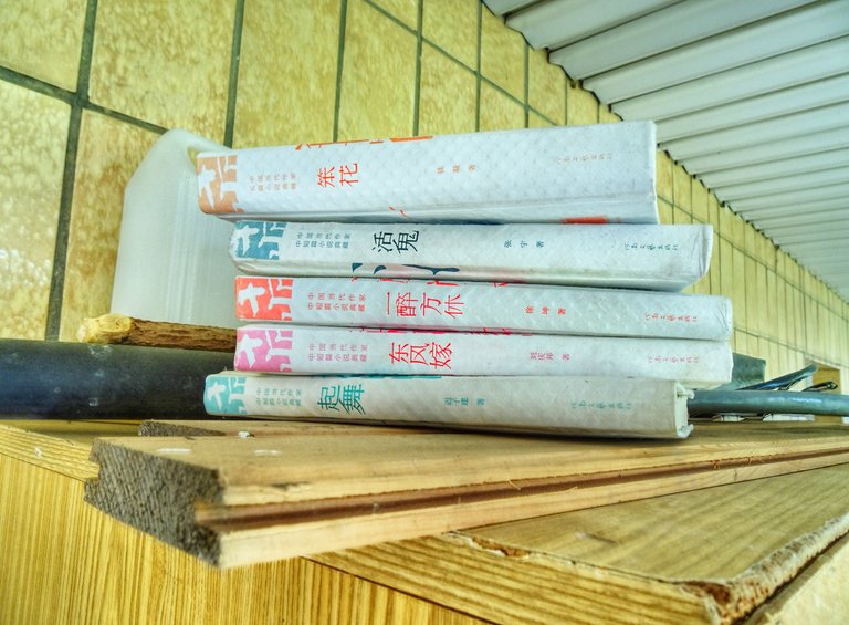 Books, read by the Chinese Soccers