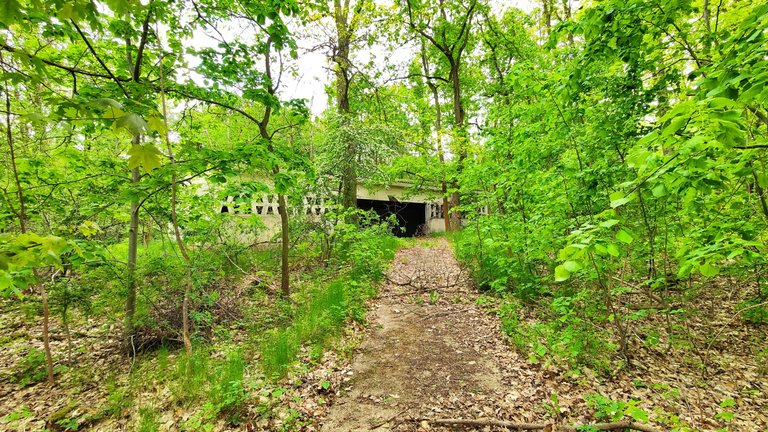 Deep in the woods are a lot of shelters