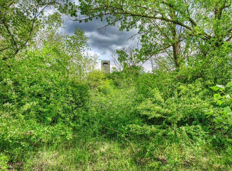 The tower seen from away