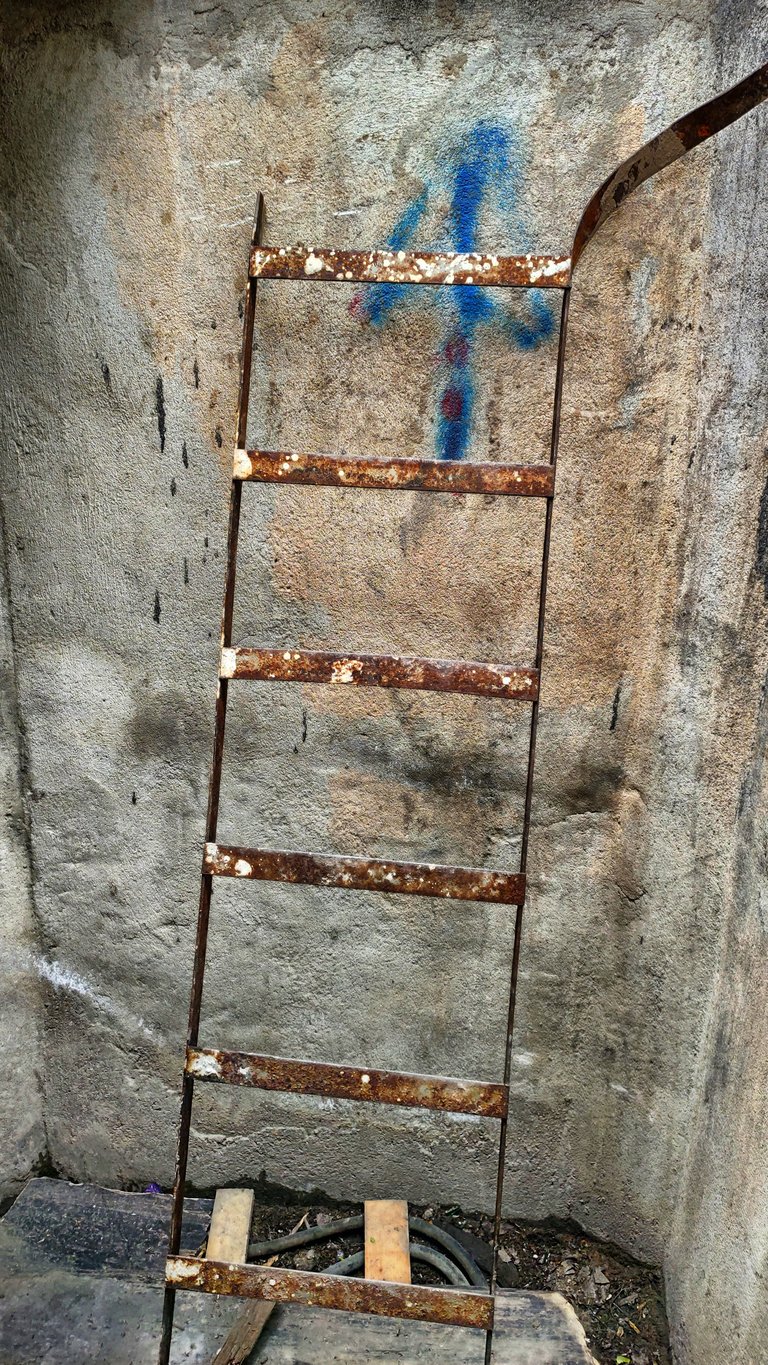 A ladder to go in
