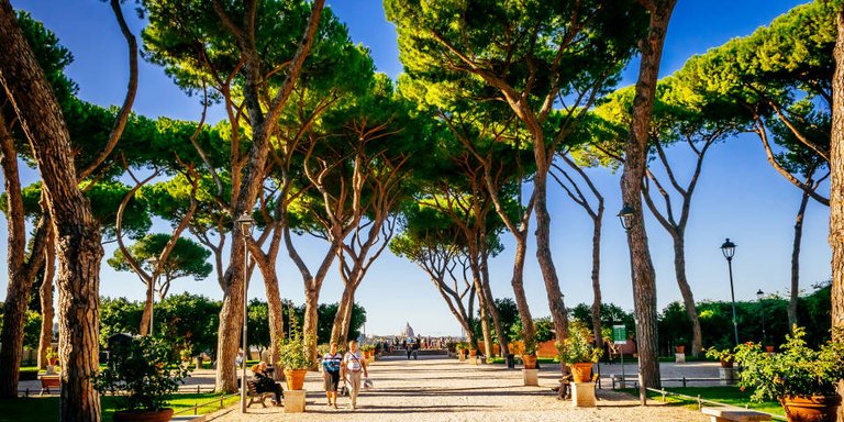 Orange Garden in Roma
