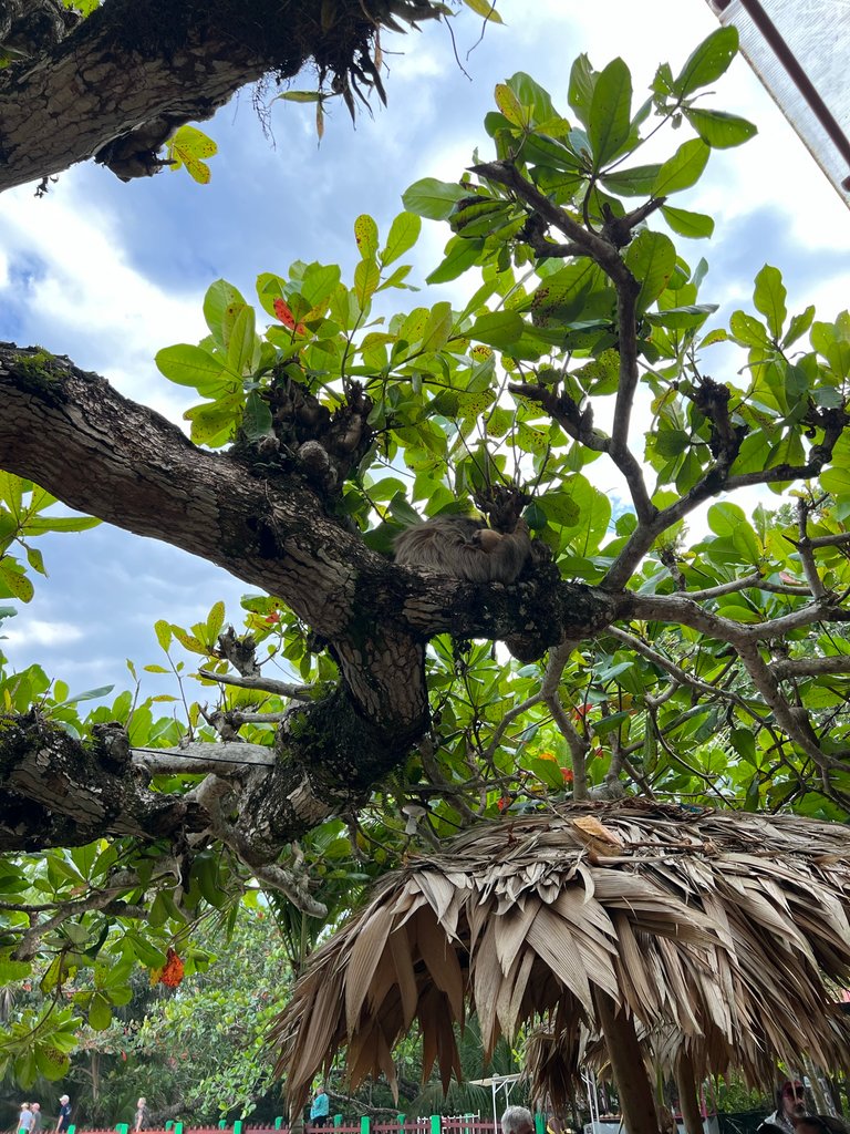 Cruise in the Southern Caribbean