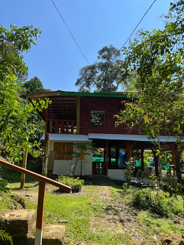 Excursion to the apiary with bees without stingers in Costa Rica. Cruise in the Southern Caribbean.