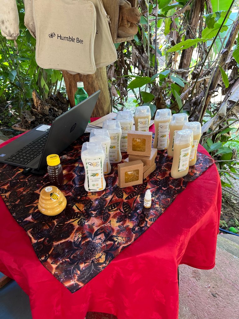 Excursion to the apiary with bees without stingers in Costa Rica. Cruise in the Southern Caribbean.