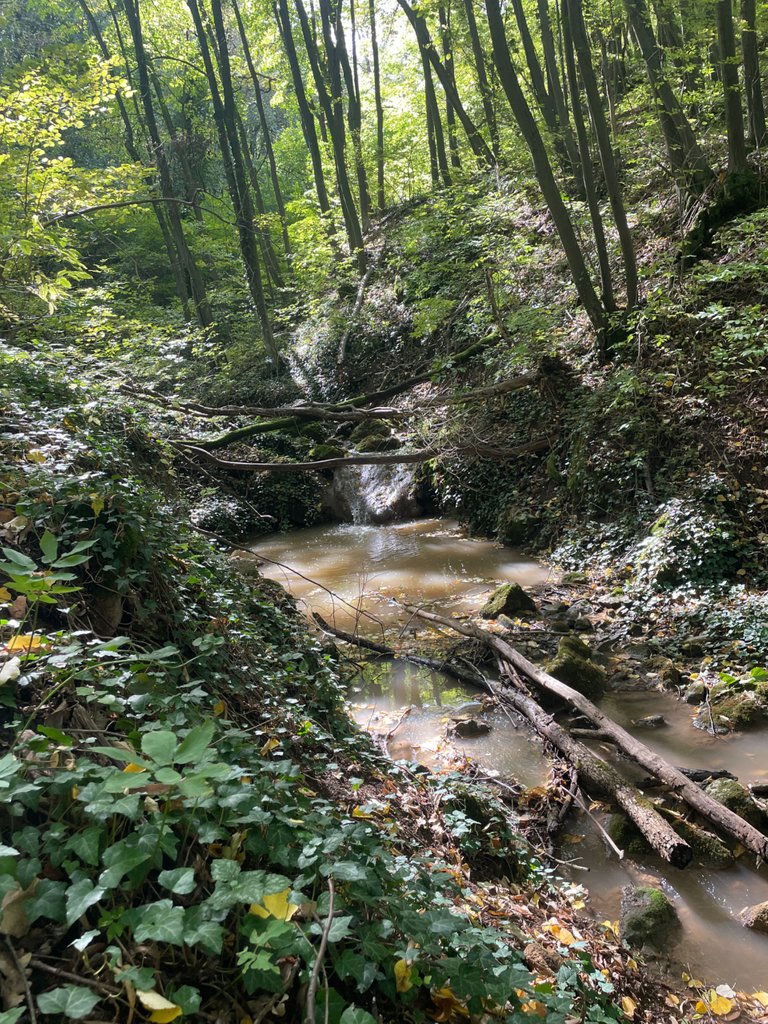 It was around 12 o’clock when my friends and I were wondering what to do. Someone suggested we take a hike. In no more than an hour we were organized. By car, we reached the beginning of the trail, which is located in a neighborhood in Veliko Tarnovo. The terrain is not difficult and suitable for everyone, and all the way along the spring there are tables and benches for rest. The crossing in both directions is about 2 to 3 hours for people who like to stop and take pictures more.Беше около 12 часа, когато с приятели се чудихме какво да правим. Някой предложи да направим един поход. За не повече от час се организирахме. С кола стигнахме до началото на пътеката, която се намира в квартал във Велико Търново. Теренът не е труден и е подходящ за всички, а през целият път покрай извора има маси и пейки за почивна. Преходът в двете посоки е около 2 до 3 часа за хората които обичат повече да спират и да се снимат.