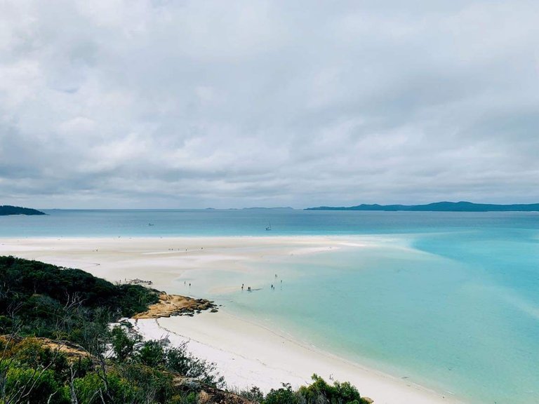 Another photo looking out at the vast waters surrounding Whitehaven Beach.