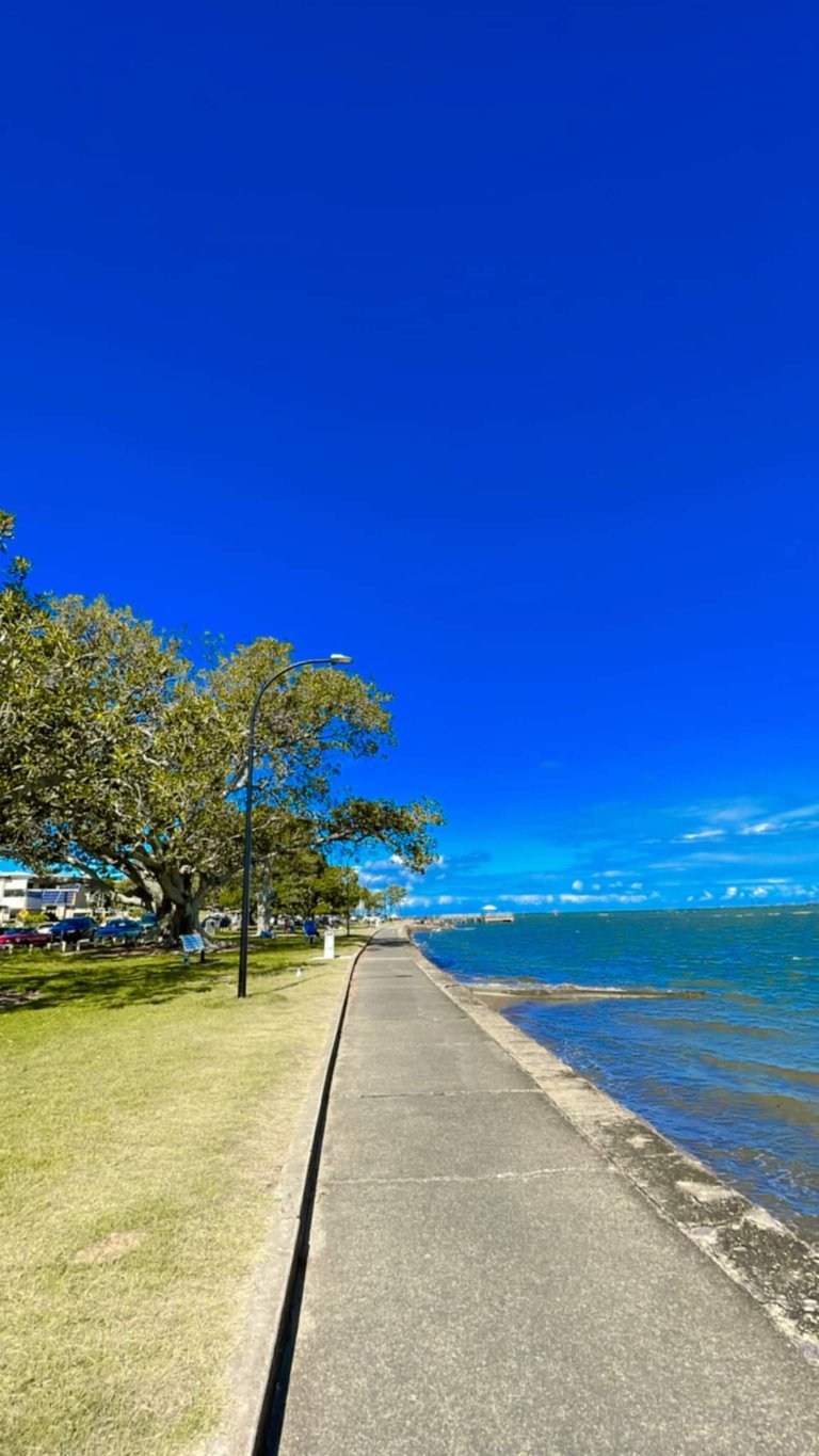 A view of the ocean on the right, and some large trees on the left. There’s seats and picnic tables located the whole way round, perfect place to catch a good sunset too.