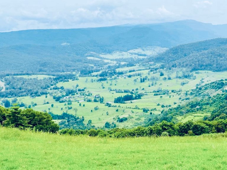 This is the views we were greeted with as we concluded our drive, and reached the entry into this section of Lamington National Park