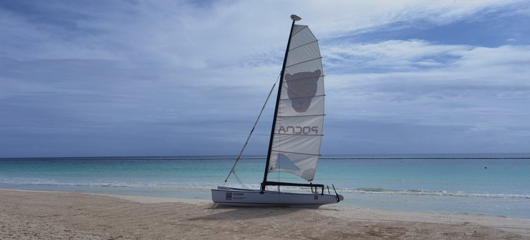 A lonely catamaran. Waiting to be taken out into the ocean.