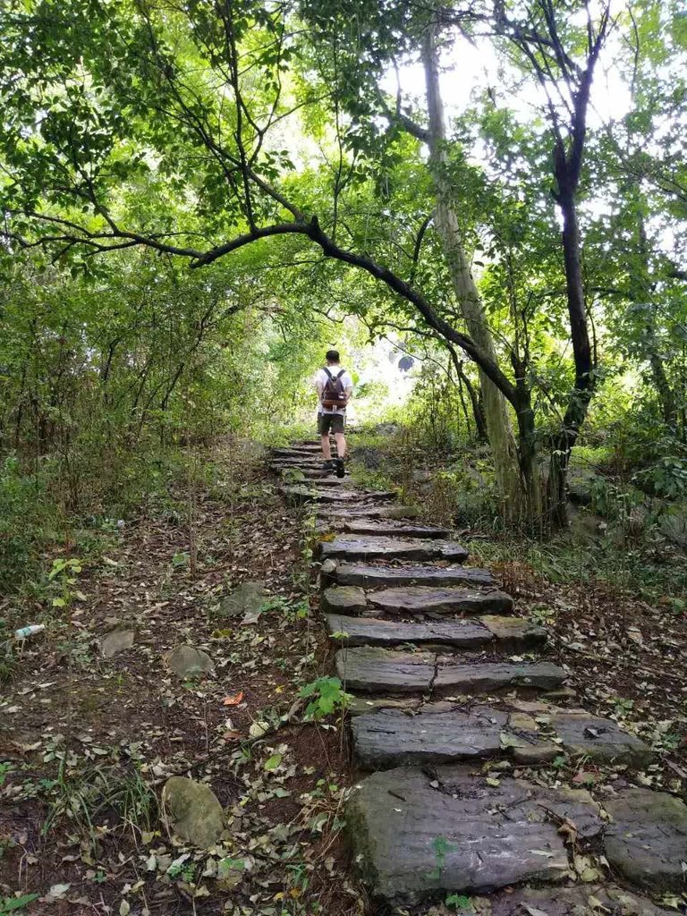 The grasses were cut pretty neatly and the road was well taken care of. It was like a very beautiful old tracking trail in a rural village in China.