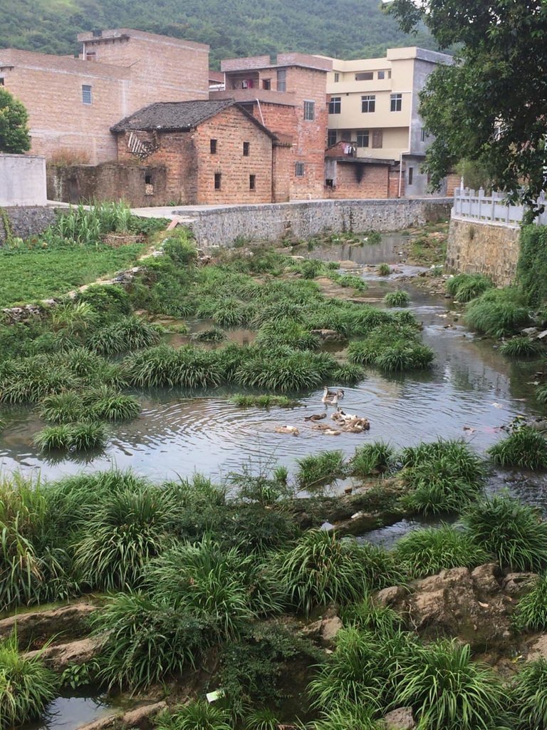 There is a small stream outside of the village.