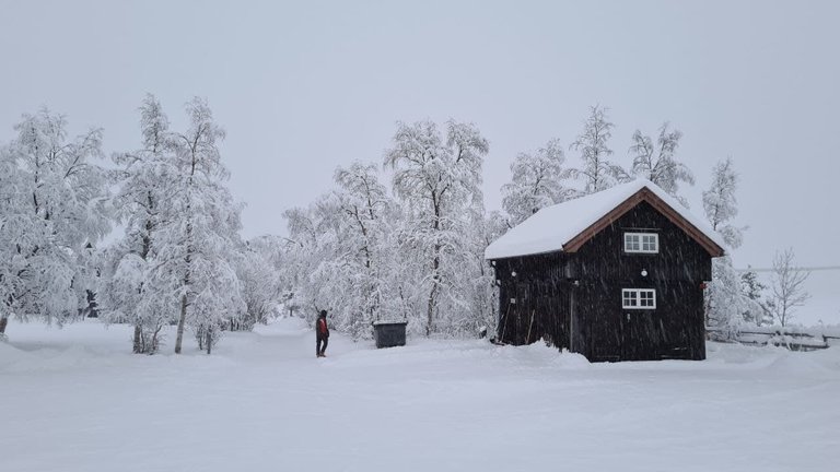 It is a loo, well, a loo looks beautiful in snow, isn’t it?! LOL!