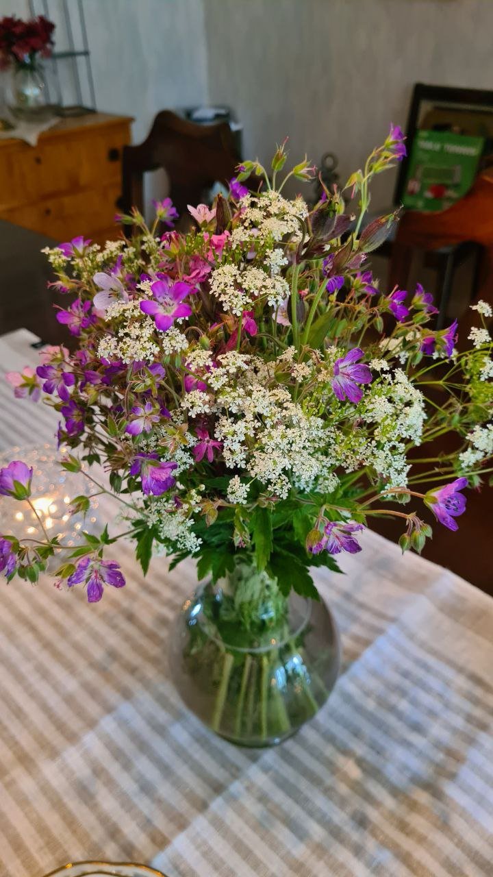 A bouquet of wild flowers picked by my grandmother.