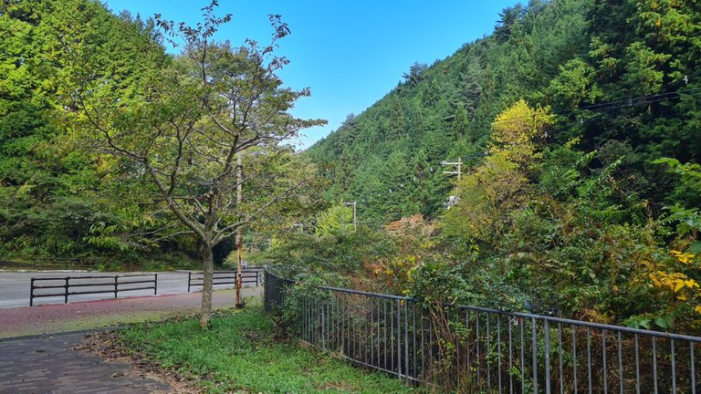 This is a bus stop where you can enter the hiking track to Mt. KONGO 🇯🇵