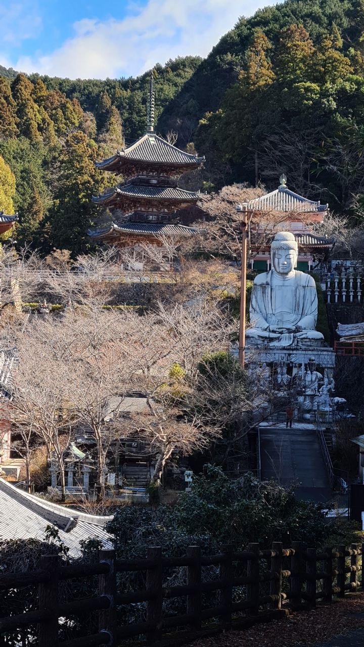 壺阪山の壺阪寺