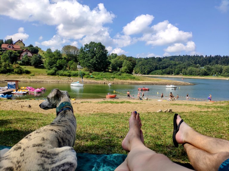 Na tej plaży znacznie więcej życia!