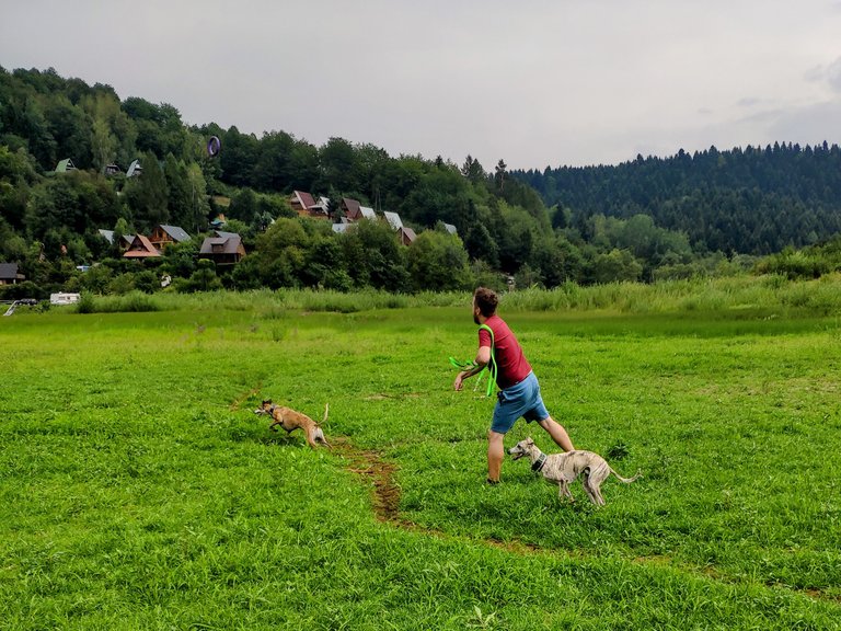 Jedyną zaletą tej sytuacji jest fakt, że mieliśmy gdzie wybiegać whippety. Dwa lata temu to wszystko było pod wodą.