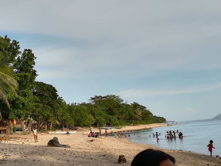 in the beach