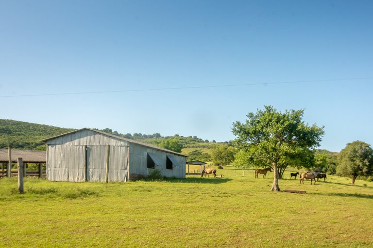 The farm's shed.