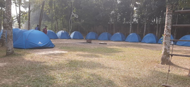 Beautiful Organized Tents, there is wood in the middle for bonfire!