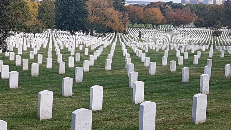 Graves at the Cemetery