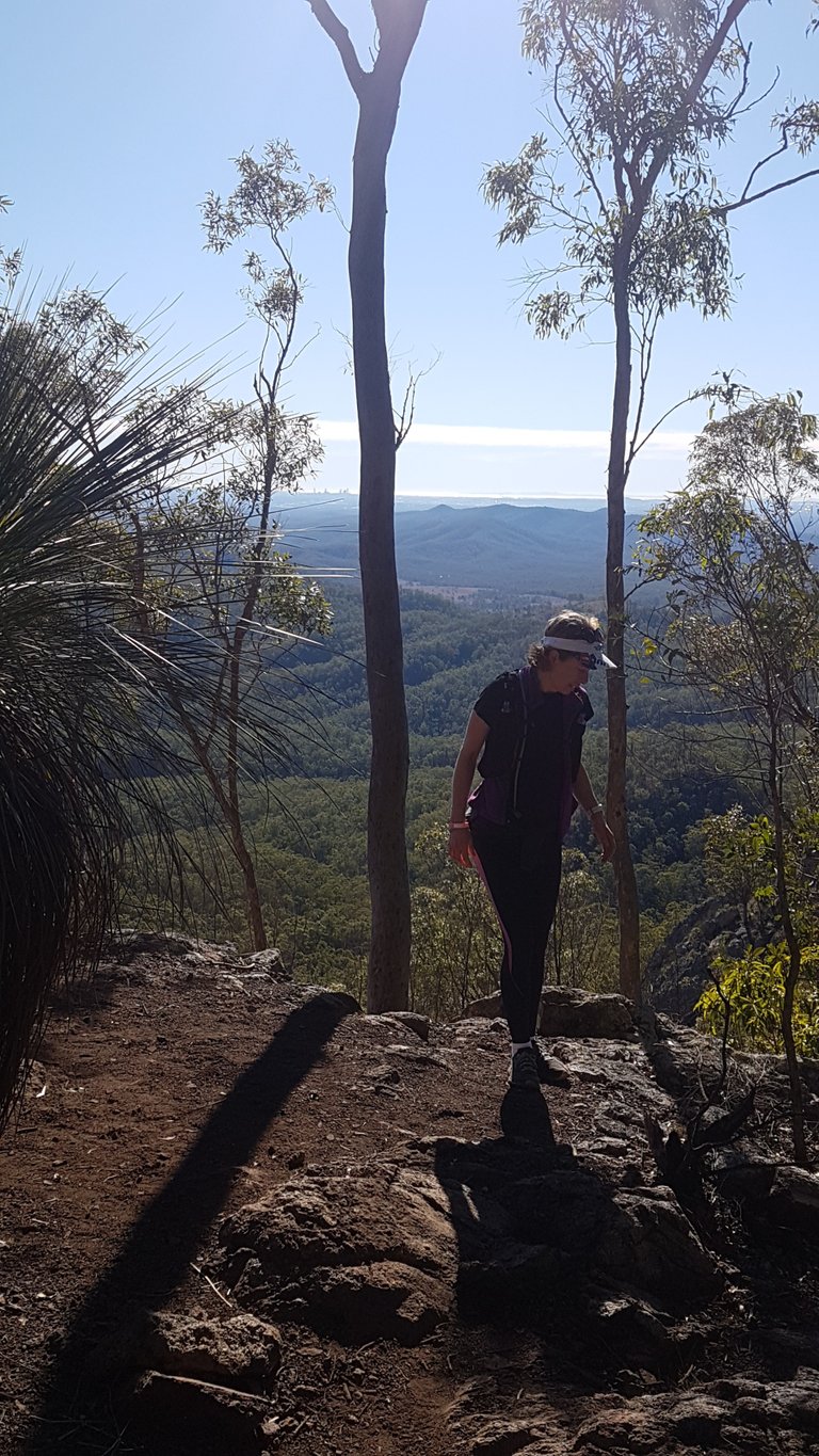 That plant sticking in from the left of this photo is a Xanthorrhoea, also known as a Grass Tree because it looks like long shoots of grass coming out of the top of a tree.