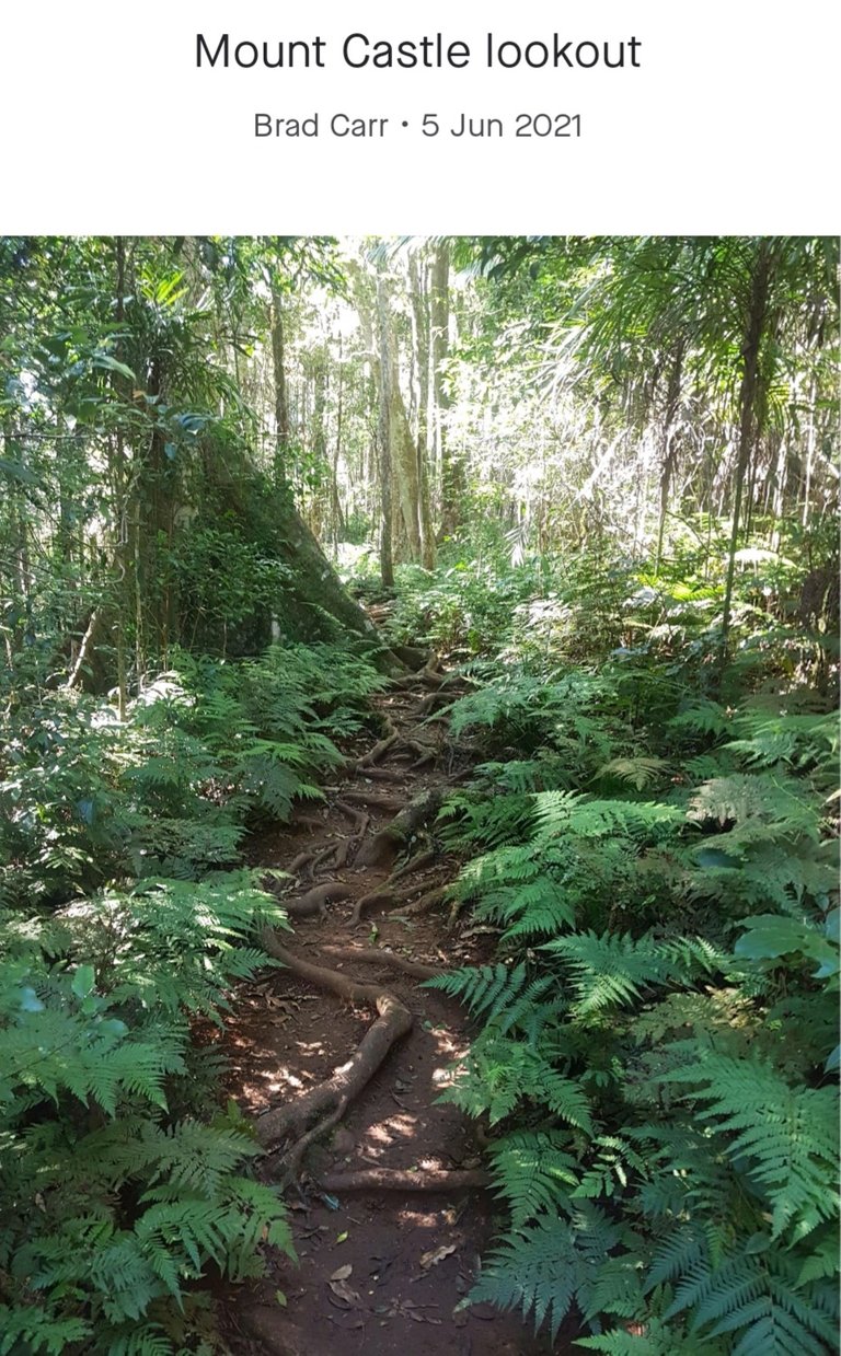 The path to get to Mount Castle was beautiful, but we did have to watch where we were putting our feet!