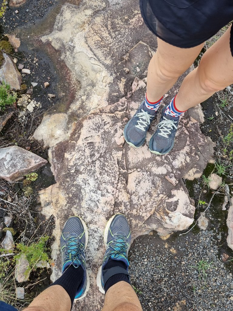 We couldn’t do a bushwalk without our infamous shoe shot :) We were both in old, strong, beaten up runners.