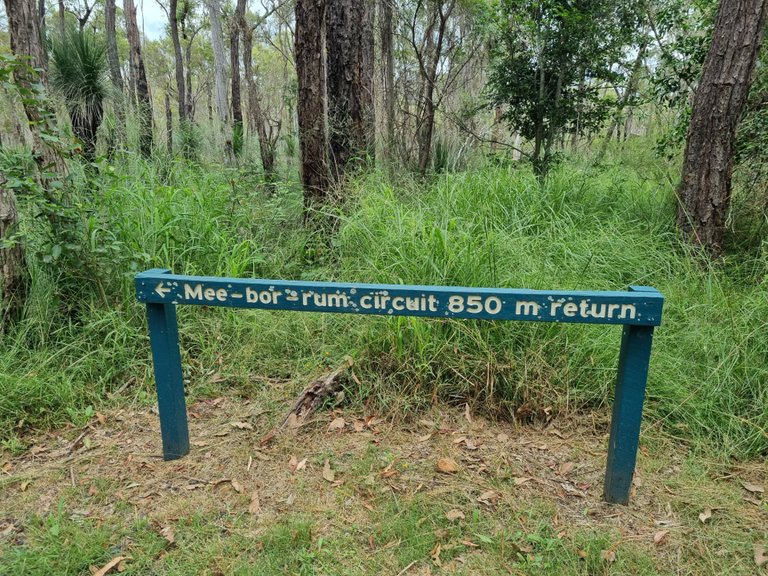 Next we were off to check out the Mee-bor-rum circuit. Mee-bor-rum means Northern Peak and it’s the name given to this small peak by the Traditional Custodians of this area, the Ugarapul (Aboriginal) people.