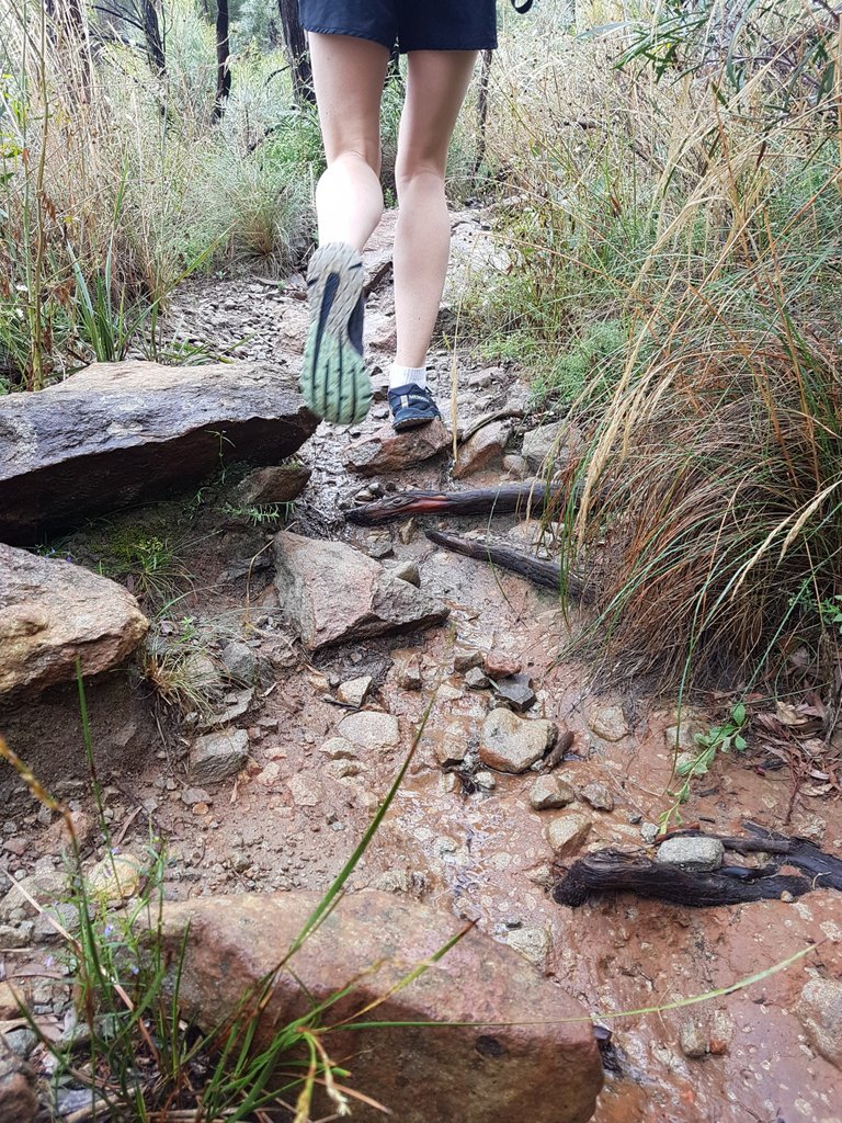 You can see how wet, rocky and uneven the terrain was here. Still, it was hot (hence the bare legs).