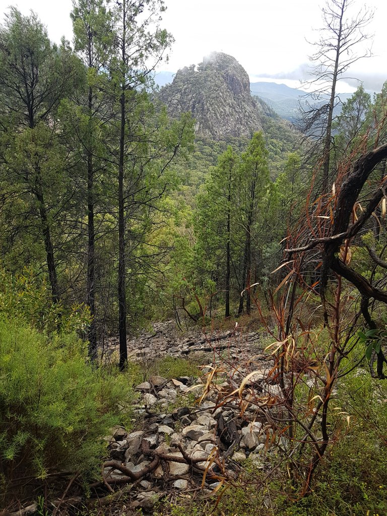 More views across to other mini peaks. Snapped this one while we were walking.