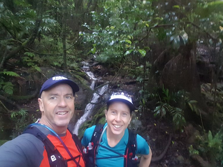 This is very old Gondwana Rainforest (rainforest from before Australia was island; back when the landmass was connected with other continents. That is, it’s really, really old!)