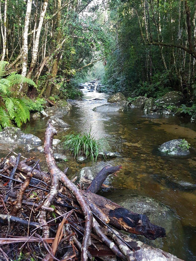 The streams and creeks did not disappoint.