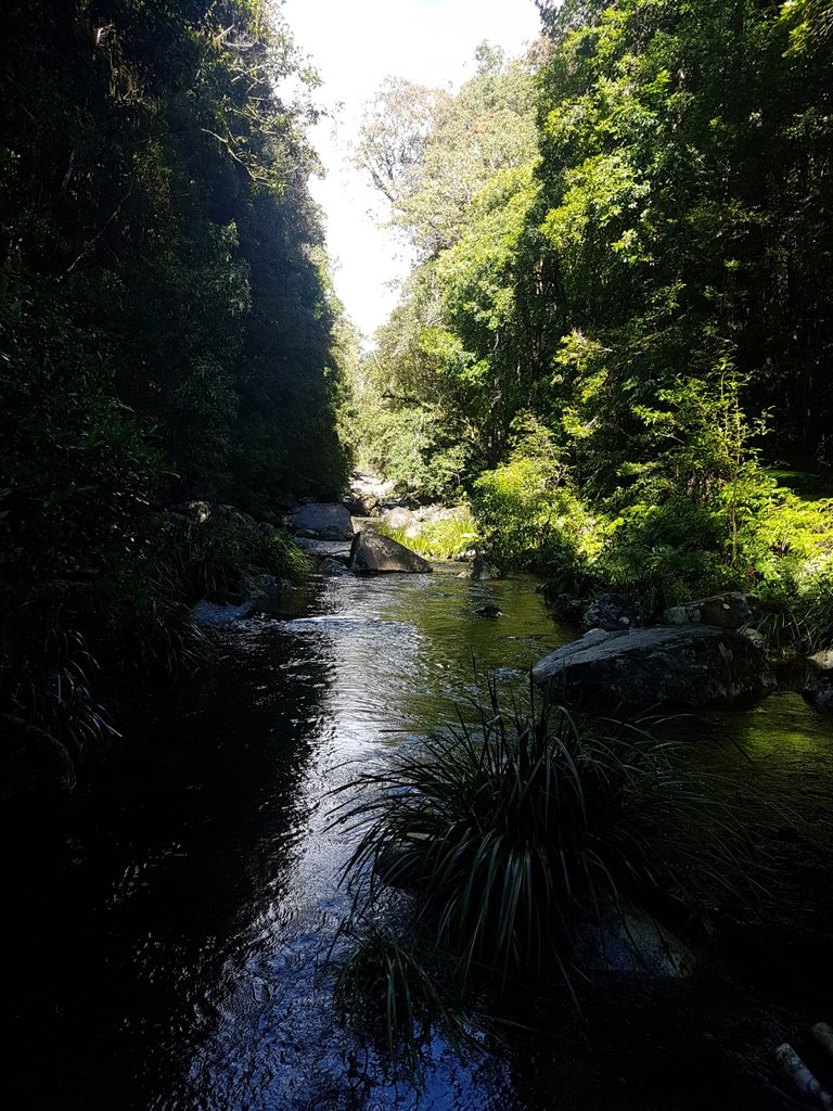 More creek crossings. (There were a few).