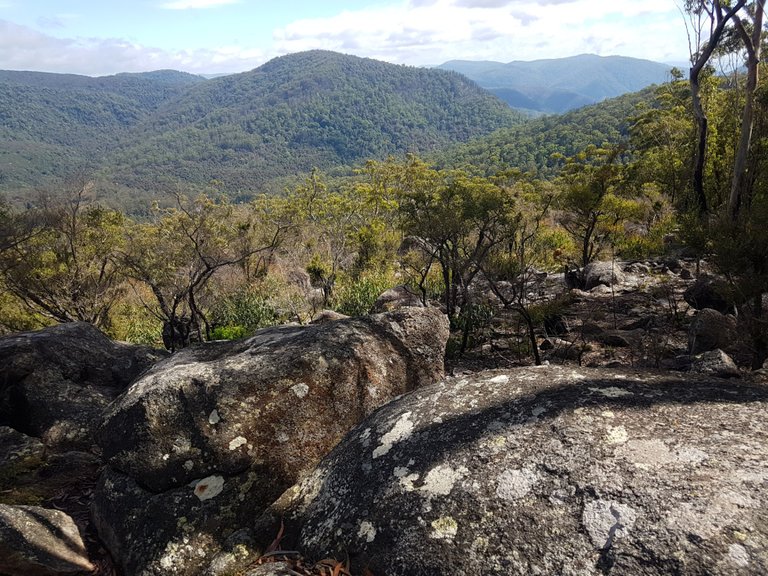 Once the longer walk/run was done, we headed over to the nearby Granite Lookout Loop. It was a short 600 metre walk with a view over the Washpool Walk that we had just done.