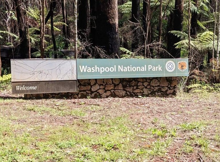 We stayed in Glen Innes for 2 nights on the last part of our (Jan) 2021 trip. This meant we could have one full day to explore either Washpool or Gibraltar National Parks. We decided on Washpool having heard so much about it over the years.