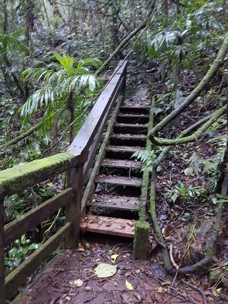 We collected a few leaches in our socks on this hike but got them off before we got back in the car.