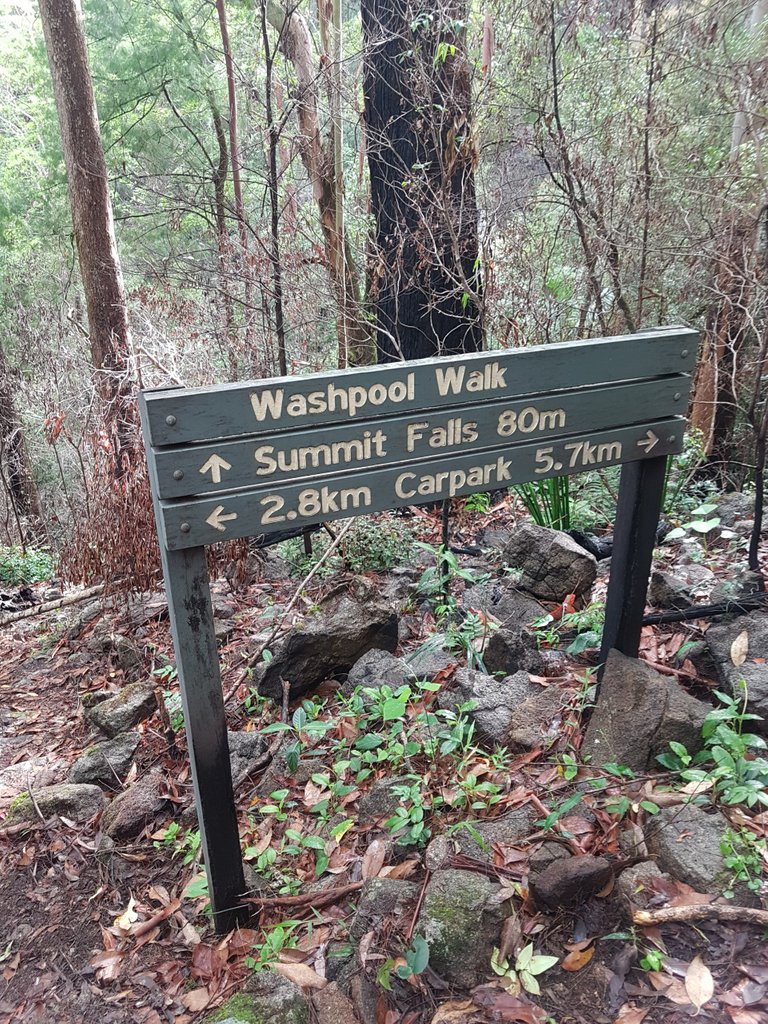 I really can’t walk past a side track if I see one. I don’t want to miss out on anything so, of course, we went to check out the Summit Falls before we continued on our loop back to the carpark.