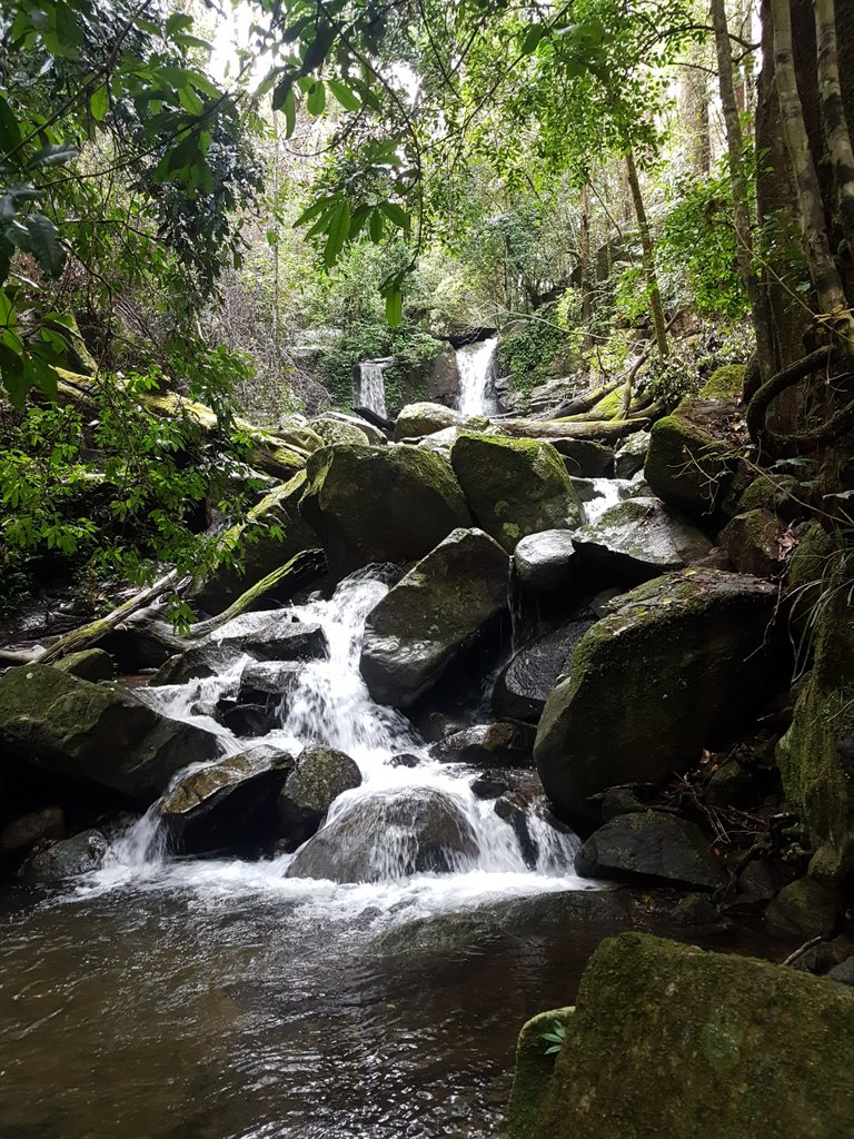 This was one of the handful of small waterfalls we saw on the loop we hiked.