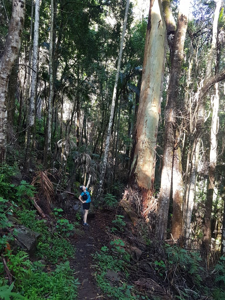 Caroline was trying to point out *just how tall this tree is!!*