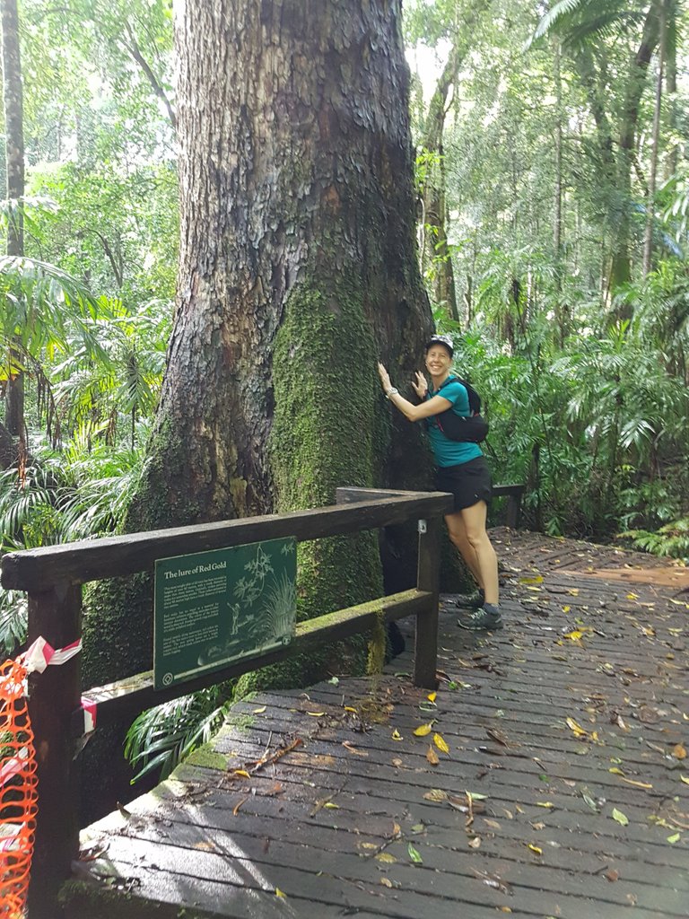 Caroline, next to one of the big trees. This gives you a sense of perspective on just how big they really were.