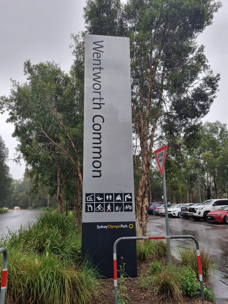 We visited Wentworth Common for a wet parkrun Saturday morning, maybe it should have been called ”wetworth”.