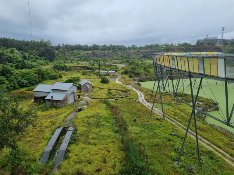 Everything was so green with all the rain.