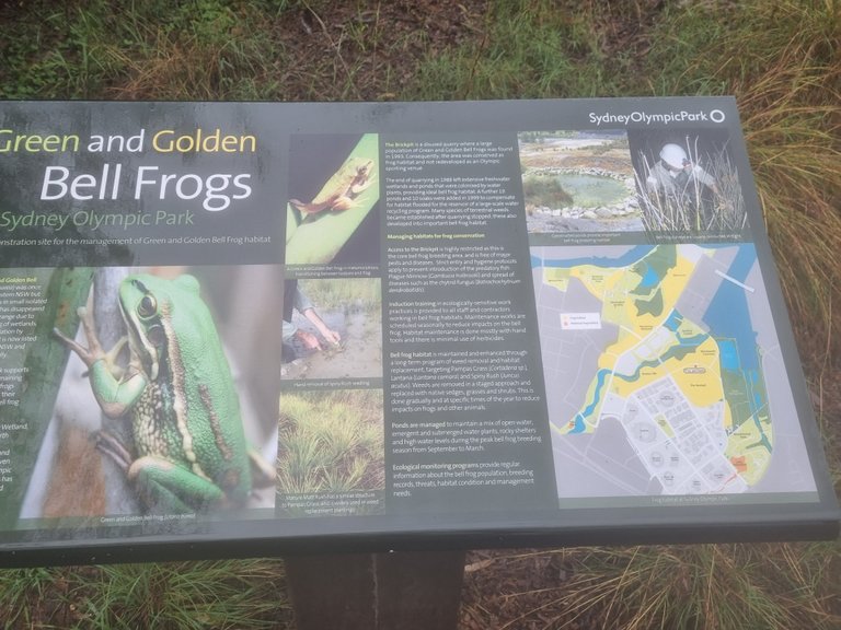 The Brickpit is home to the endangered Green and Gold Bell frogs.