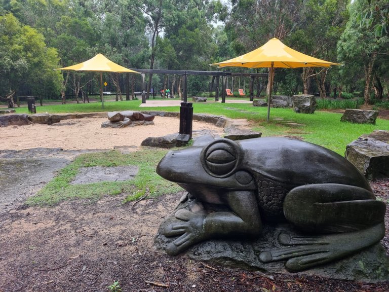 The frogs were right at home in the rain.